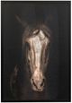 Stylecraft Strong Stallion II Wall Art-0