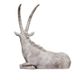 A & B Home Antique White Resting Antelope-3
