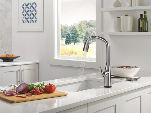 Delta Stryke® Lumicoat® Arctic Stainless VoiceIQ® Single Handle Kitchen Faucet with Touch2O® Technology-3