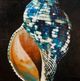 Stylecraft Ocean Treasure III Textured Framed Print-1