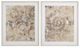 Bassett Mirror 2-Piece Fossil Nautilus Framed Print Set-0