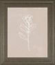 Classy Living Annie Warren Blush Bloom I 22"W Wall Art-0