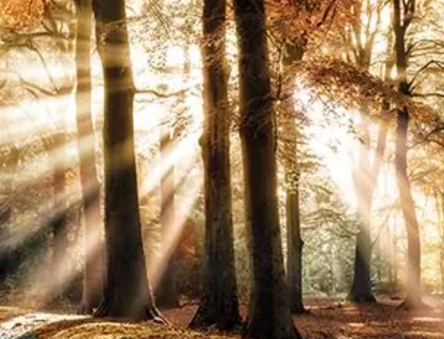 Classy Art Dreaming in by Lars Van De Goor Wall Art-1