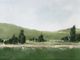 Stylecraft Quiet Meadow Under Soft Gray Wall Art-2