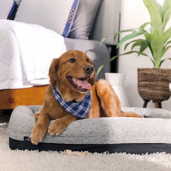 BEDGEAR® Performance® Black/Gray Small Dog Bed-1