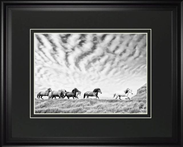 Classy Art Horse Run III by PHBurchett Wall Art-0