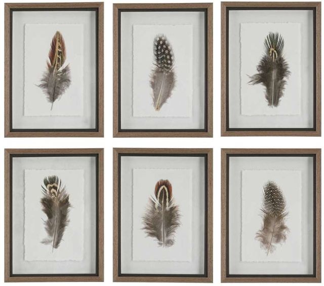 Uttermost® Birds of a Feather 6-Piece Framed Print Set-0