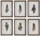 Uttermost® Birds of a Feather 6-Piece Framed Print Set-0