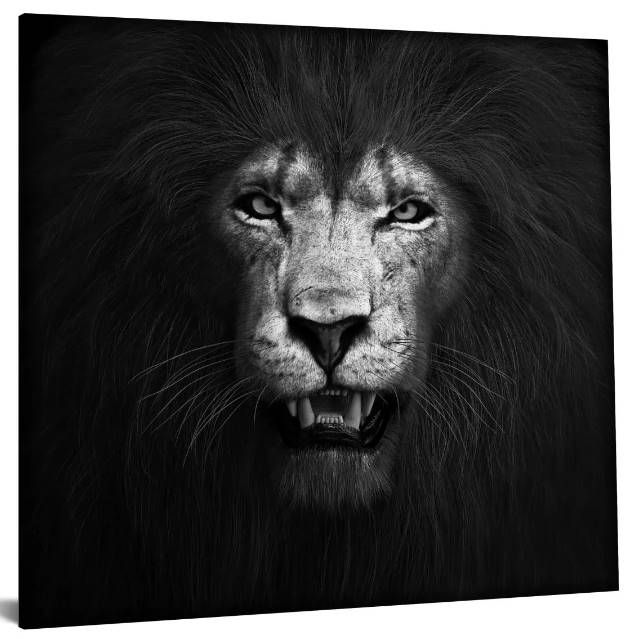 Classy Art Lion Black and White Wall Art-1