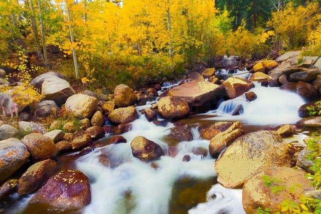 Classy Living Water Runs Through Aspen Wall Art-0