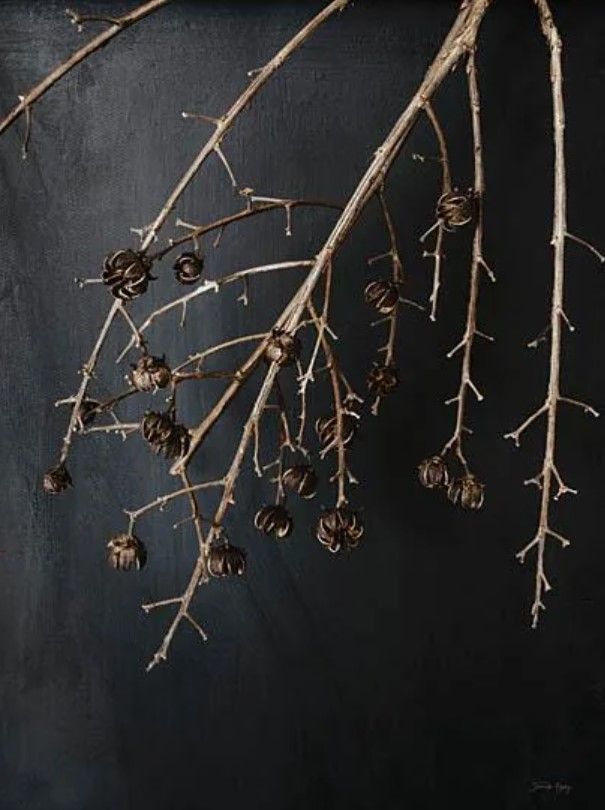 Classy Art Branches in Noir II by Jennifer Rigsby Wall Art-0