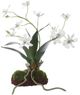 Uttermost® Clovis Green/White Orchid-0