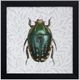 StyleCraft Beetles and Butterflies II Wall Art-0