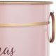A & B Home 2-Piece Pink Planter Set-4