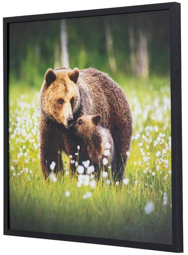 YHD Natural Instinct Wall Art-1
