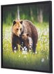 YHD Natural Instinct Wall Art-1