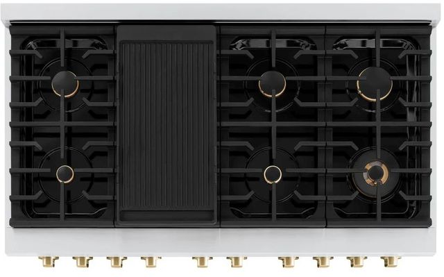 ZLINE Autograph Edition Paramount 48" Stainless Steel Pro Style Dual Fuel Range with Polished Gold Accents-3