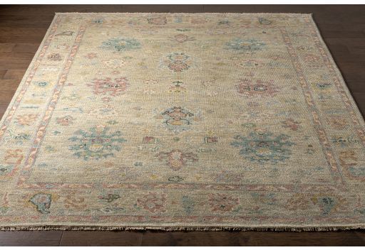 Surya Biscayne Multi-Color 6'x9' Area Rug-1