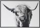Stylecraft Highland Cow Black/Gray Wall Art-0