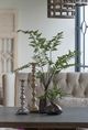 A & B Home Green Wood Fern Spray Stem-3