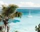 Moe's Home Collection Tropical Bay Wall Décor-1
