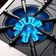 BlueStar® RNB Series 48" Stainless Steel Liquid Propane Gas Rangetop-2