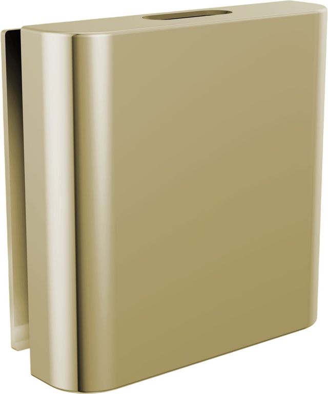 Brizo Other Brilliance® Polished Nickel Mystix™ Classic Square Steam Head-0