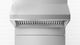 Fisher & Paykel 48" Stainless Steel Professional Wall Ventilation-4