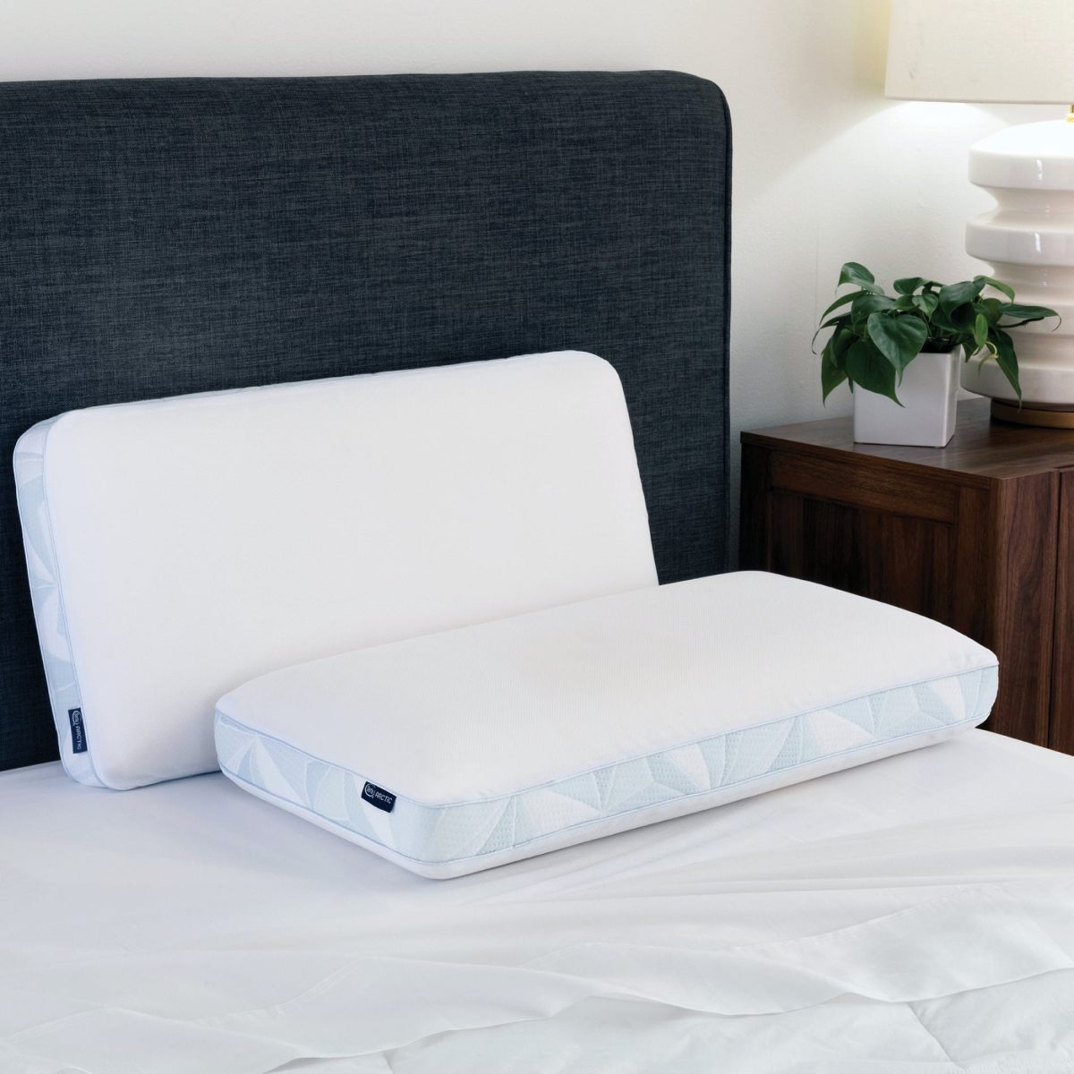 Serta® Arctic Cooling Memory Foam Queen Pillow | Odden