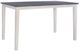 Powell® Mckoy Charcoal Counter Table with White Base-0
