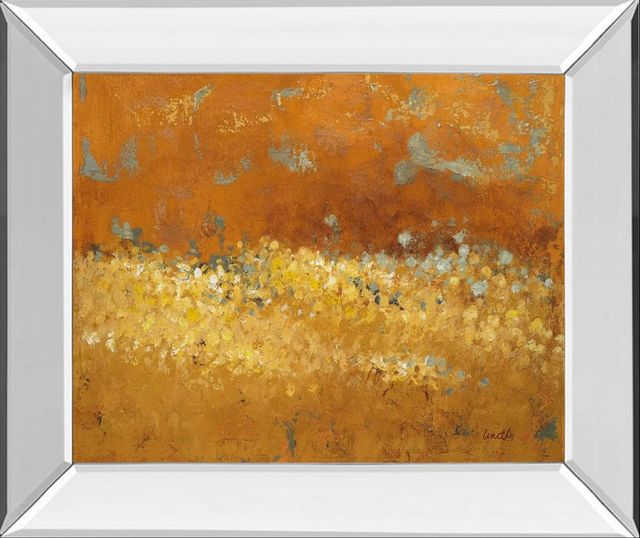 Classy Art Flower Fields Il by Lanie Loreth Mirror Framed Wall Art-0