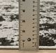 Oriental Weavers™ Caravan 8'x11' Style 2 Area Rug-5