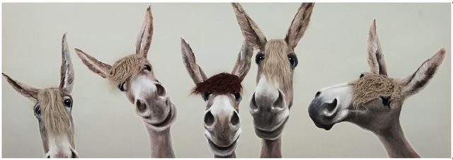 Classy Living Contemplative Flower Fuzzy Donkeys Wall Art-0