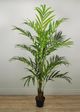 Le Present Green 78.5" Faux Botanical Palm Tree-3