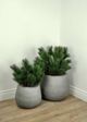 Le Present Belly Concrete Grey 19" Planter-5
