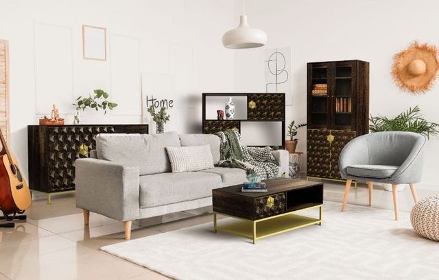 Jaipur Furniture Pintu Bronze Small TV Unit-1