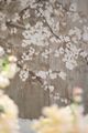 A & B Home Gray/White Large Cherry Blossom Wall Art-4