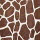 Dalyn™ Rug Company Akina AK4 Chocolate 5'x8' Area Rug-5