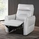 Furniture of America® Terentius Taupe Power Recliner-1