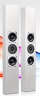 Totem Acoustics High-Fidelity In-Wall Speaker-5