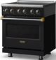 Viking® 5 Series 30" Onyx Pro Style Electric Range with Brushed Brass Trim-2