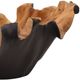 Dovetail Furniture Ilya Black/Natural Bowl-1