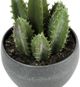 Monarch Specialties Inc. 3-Piece Grey 6" Tall Artificial Potted Succulent-2