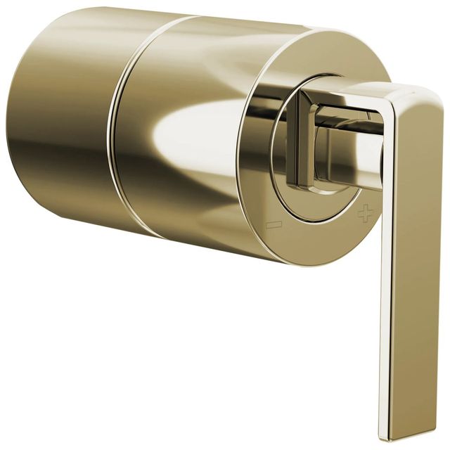 Brizo Frank Lloyd Wright® Brilliance® Polished Nickel Pressure Balance Valve Gap Kit-0