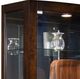 Pulaski™ PFC Mahogany Brown Curio-1