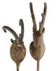 A & B Home 2-Piece Gold Sheep Head Hanger Set-1