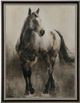 Stylecraft Copper And Nickel Black/Gray/Nickel Wall Art-0