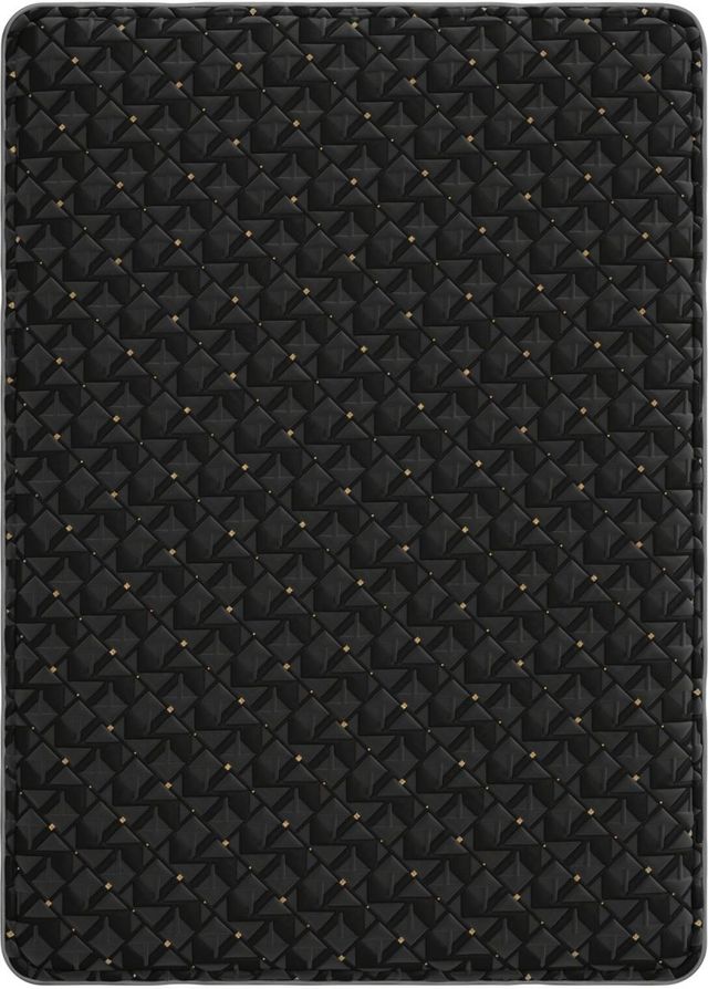 Beautyrest Black® Series 4 Hybrid 16" Plush Box Top Queen Mattress-5