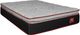 Springwall® True North Chiropractic® Laurentian 15" Wrapped Coil Ultra Plush Pillow Top Queen Mattress in a Box-2