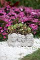 A & B Home Light Gray President Planter-4